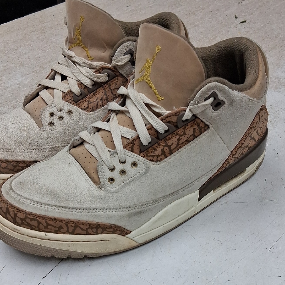 Jordan 3s